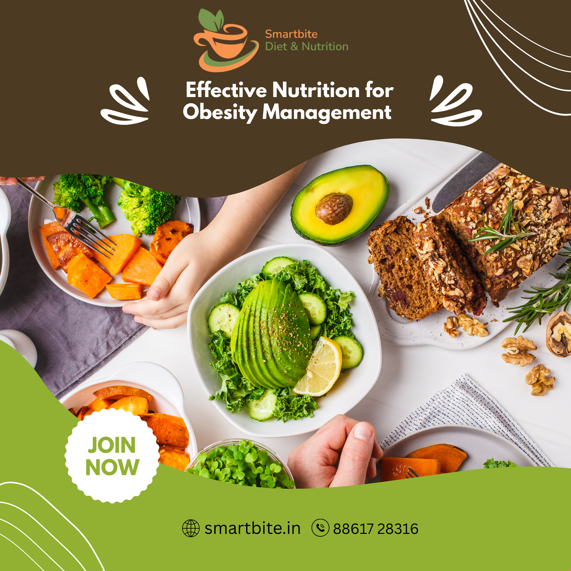 Effective Nutrition for Obesity Management