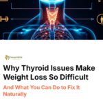 Why Thyroid Disorders Can Make Weight Loss Difficult